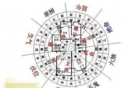 属虎与属狗，天生的默契舞者